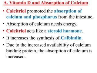 A. Vitamin D and Absorption of Calcium
• Calcitriol promoted the absorption of
  calcium and phosphorus from the intestine.
• Absorption of calcium needs energy.
• Calcitriol acts like a steroid hormone.
• It increases the synthesis of Calbindin.
• Due to the increased availability of calcium
  binding protein, the absorption of calcium is
  increased.
 