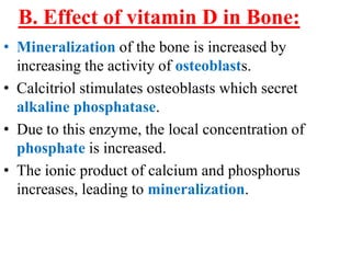 B. Effect of vitamin D in Bone:
• Mineralization of the bone is increased by
  increasing the activity of osteoblasts.
• Calcitriol stimulates osteoblasts which secret
  alkaline phosphatase.
• Due to this enzyme, the local concentration of
  phosphate is increased.
• The ionic product of calcium and phosphorus
  increases, leading to mineralization.
 