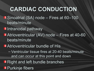 CARDIAC CONDUCTIONCARDIAC CONDUCTION
Sinoatrial (SA) node – Fires at 60–100Sinoatrial (SA) node – Fires at 60–100
beats/minutebeats/minute
Intranodal pathwayIntranodal pathway
Atrioventricular (AV) node – Fires at 40-60Atrioventricular (AV) node – Fires at 40-60
beats/minutebeats/minute
Atrioventricular bundle of HisAtrioventricular bundle of His
– Ventricular tissue fires at 20-40 beats/minuteVentricular tissue fires at 20-40 beats/minute
and can occur at this point and downand can occur at this point and down
Right and left bundle branchesRight and left bundle branches
Purkinje fibersPurkinje fibers
 