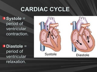 CARDIAC CYCLECARDIAC CYCLE
SystoleSystole ==
period ofperiod of
ventricularventricular
contraction.contraction.
DiastoleDiastole ==
period ofperiod of
ventricularventricular
relaxation.relaxation.
 
