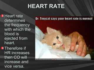 HEART RATEHEART RATE
Heart rateHeart rate
determinesdetermines
the frequencythe frequency
with which thewith which the
blood isblood is
ejected fromejected from
heart.heart.
Therefore ifTherefore if
HR increasesHR increases
then CO willthen CO will
increase andincrease and
vice versa.vice versa.
 