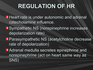 REGULATION OF HRREGULATION OF HR
Heart rate is under autonomic and adrenalHeart rate is under autonomic and adrenal
catecholamine influence.catecholamine influence.
Sympathetic NS (norepinephrine increasesSympathetic NS (norepinephrine increases
depolarization rate)depolarization rate)
Parasympathetic NS (acetylcholine decreaseParasympathetic NS (acetylcholine decrease
rate of depolarization)rate of depolarization)
Adrenal medulla secretes epinephrine andAdrenal medulla secretes epinephrine and
norepinephrine (act on heart same way asnorepinephrine (act on heart same way as
SNS)SNS)
 