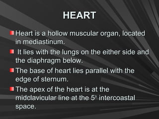 HEARTHEART
Heart is a hollow muscular organ, locatedHeart is a hollow muscular organ, located
in mediastinum.in mediastinum.
It lies with the lungs on the either side andIt lies with the lungs on the either side and
the diaphragm below.the diaphragm below.
The base of heart lies parallel with theThe base of heart lies parallel with the
edge of sternum.edge of sternum.
The apex of the heart is at theThe apex of the heart is at the
midclavicular line at the 5midclavicular line at the 5thth
intercoastalintercoastal
space.space.
 