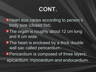 CONT.CONT.
Heart size varies according to person’sHeart size varies according to person’s
body size (closed fist).body size (closed fist).
The organ is roughly about 12 cm longThe organ is roughly about 12 cm long
and 9 cm wide.and 9 cm wide.
The heart is enclosed by a thick doubleThe heart is enclosed by a thick double
wall sac called pericardium.wall sac called pericardium.
Pericardium is composed of three layers;Pericardium is composed of three layers;
epicardium, myocardium and endocardium.epicardium, myocardium and endocardium.
 