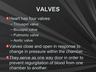 VALVESVALVES
Heart has four valves:Heart has four valves:
– Tricuspid valveTricuspid valve
– Bicuspid valveBicuspid valve
– Pulmonic valvePulmonic valve
– Aortic valveAortic valve
Valves close and open in response toValves close and open in response to
change in pressure within the chamber.change in pressure within the chamber.
They serve as one way door in order toThey serve as one way door in order to
prevent regurgitation of blood from oneprevent regurgitation of blood from one
chamber to another.chamber to another.
 