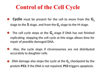 Comprehensive Overview of Cell Division and the Cell Cycle in Biology | PPT