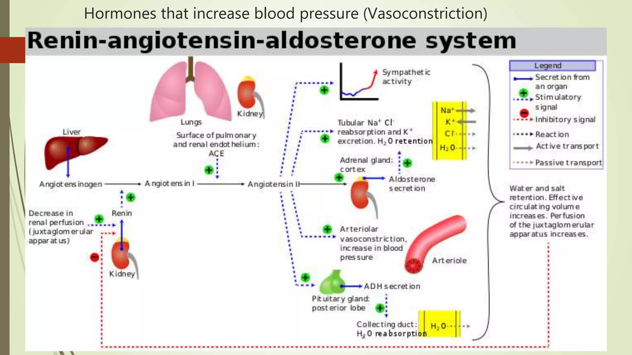 Hormones that increase blood pressure (Vasoconstriction)
 