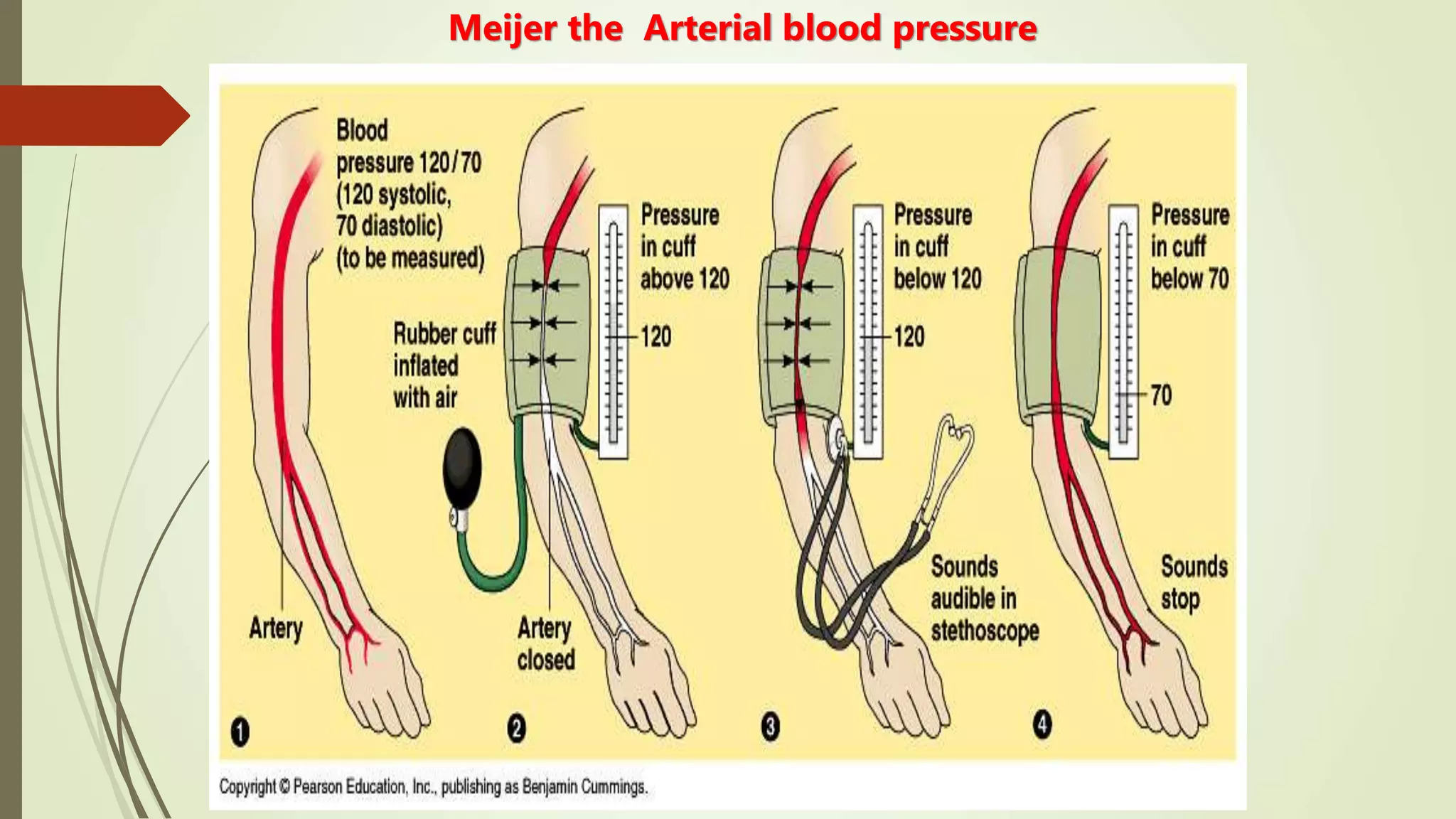 Meijer the Arterial blood pressure
 