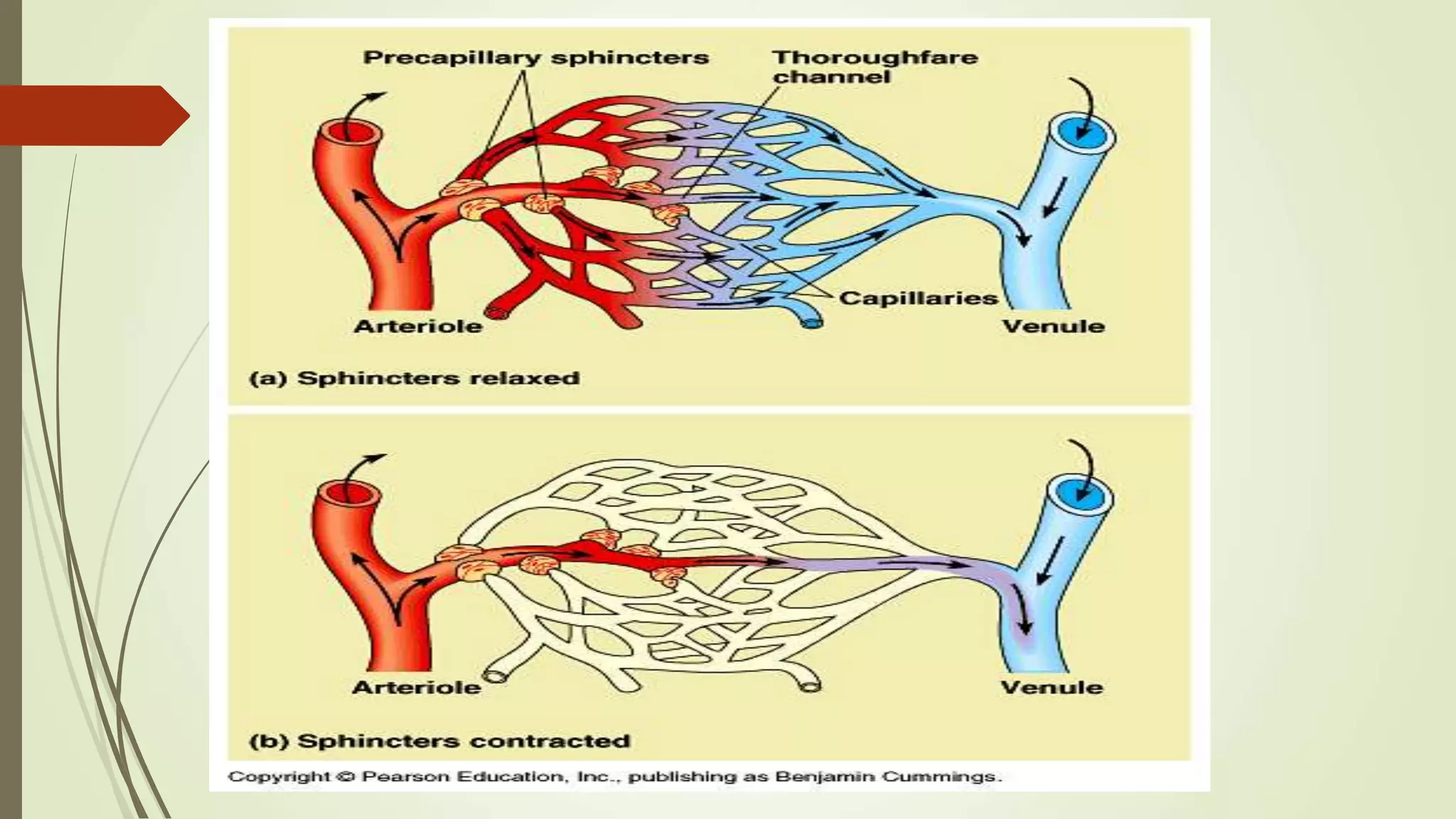 ‫أ‬.‫د‬.‫مقرر‬ ‫الحميدي‬ ‫أحمد‬333‫حين‬
 