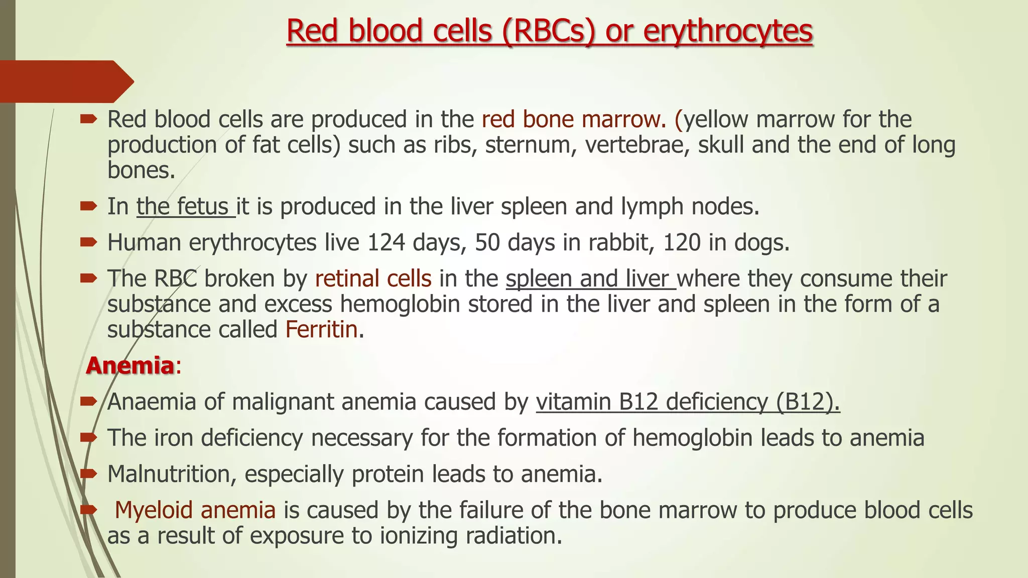 Red blood cells (RBCs) or erythrocytes
 Red blood cells are produced in the red bone marrow. )yellow marrow for the
production of fat cells) such as ribs, sternum, vertebrae, skull and the end of long
bones.
 In the fetus it is produced in the liver spleen and lymph nodes.
 Human erythrocytes live 124 days, 50 days in rabbit, 120 in dogs.
 The RBC broken by retinal cells in the spleen and liver where they consume their
substance and excess hemoglobin stored in the liver and spleen in the form of a
substance called Ferritin.
Anemia:
 Anaemia of malignant anemia caused by vitamin B12 deficiency (B12).
 The iron deficiency necessary for the formation of hemoglobin leads to anemia
 Malnutrition, especially protein leads to anemia.
 Myeloid anemia is caused by the failure of the bone marrow to produce blood cells
as a result of exposure to ionizing radiation.
 