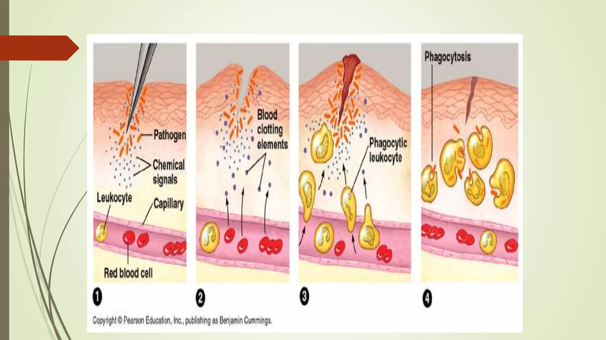 ‫أ‬.‫د‬.‫مقرر‬ ‫الحميدي‬ ‫أحمد‬333‫حين‬
 