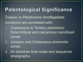 Triassic to Pleistocene dinoflagellate
zonations are correlated with:
1. Cretaceous to Tertiary planktonic
foraminiferal and calcareous nanofossil
zones
2. Jurassic and Cretaceous ammonite
zones
3. An absolute time scale and sequence
stratigraphy.
 