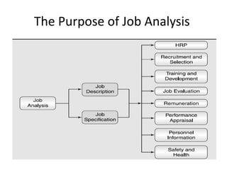 The Purpose of Job Analysis)
 