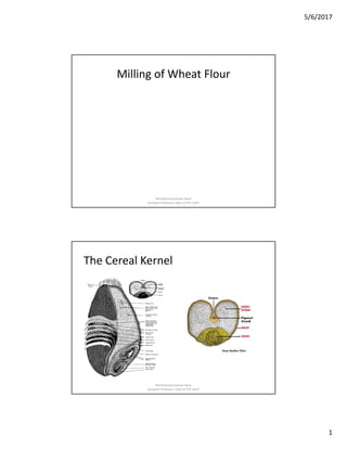 5/6/2017
1
Milling of Wheat Flour
Md Rahmatuzzaman Rana
Assistant Professor, Dept of FET, SUST
The Cereal Kernel
Md Rahmatuzzaman Rana
Assistant Professor, Dept of FET, SUST
 