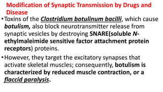 lec 5 NERVOUS SYSTEM_SYNAPSES_PPT_AKUNGA.pptx