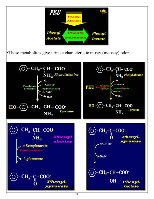 PhenylKetonuria & Alkaptomuria & Albinism & Cystinuria & Maple Syrup