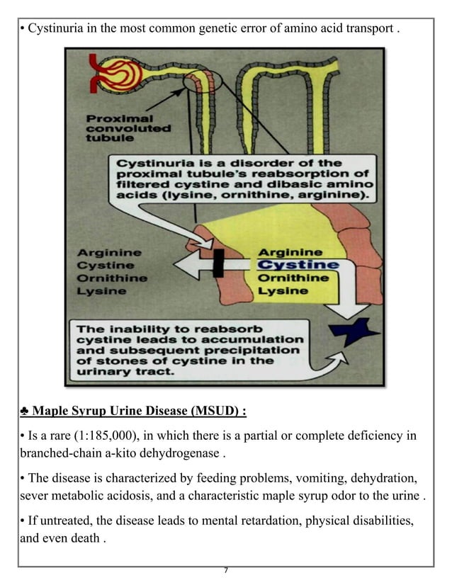 PhenylKetonuria & Alkaptomuria & Albinism & Cystinuria & Maple Syrup