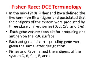 Fisher-Race: DCE Terminology
• In the mid-1940s Fisher and Race defined the
five common Rh antigens and postulated that
the antigens of the system were produced by
three closely linked genes (D/d, C/c, and E/e)
• Each gene was responsible for producing one
antigen on the RBC surface.
• Each antigen and corresponding gene were
given the same letter designation.
• Fisher and Race named the antigens of the
system D, d, C, c, E, and e
 