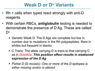 Weak D or Du Variants
• Rh + cells when typed react strongly with anti-D
reagents
• With certain RBCs, antiglobulin testing is needed to
demonstrate the presence of D Ag. These are called
Du
 Genetic Weak D: The D Ags are complete but low in
number due to mutations in the Rh polypeptides. Rare in
whites but frequent in blacks
 C Trans: The allele carrying D is trans to that carrying C
as in Dce/dCe. This position effect results in weakened
expression of the D Ag
 Partial D (D mosaic): One or more of the D epitopes is
either missing and/or is altered
 