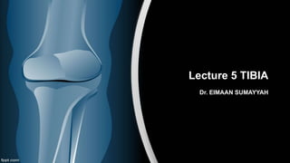 Lecture 5 TIBIA
Dr. EIMAAN SUMAYYAH
 