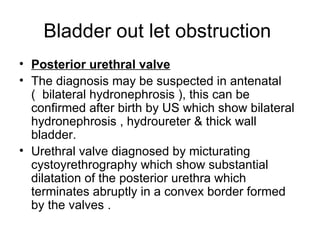 Radiology 5th year, 6th lecture (Dr. Nasrin Alatrushi) | PPT