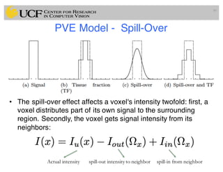 PVE Model - Spill-Over
• The spill-over effect affects a voxel's intensity twofold: first, a
voxel distributes part of its own signal to the surrounding
region. Secondly, the voxel gets signal intensity from its
neighbors:
80
Actual intensity spill-out intensity to neighbor spill-in from neighbor
 