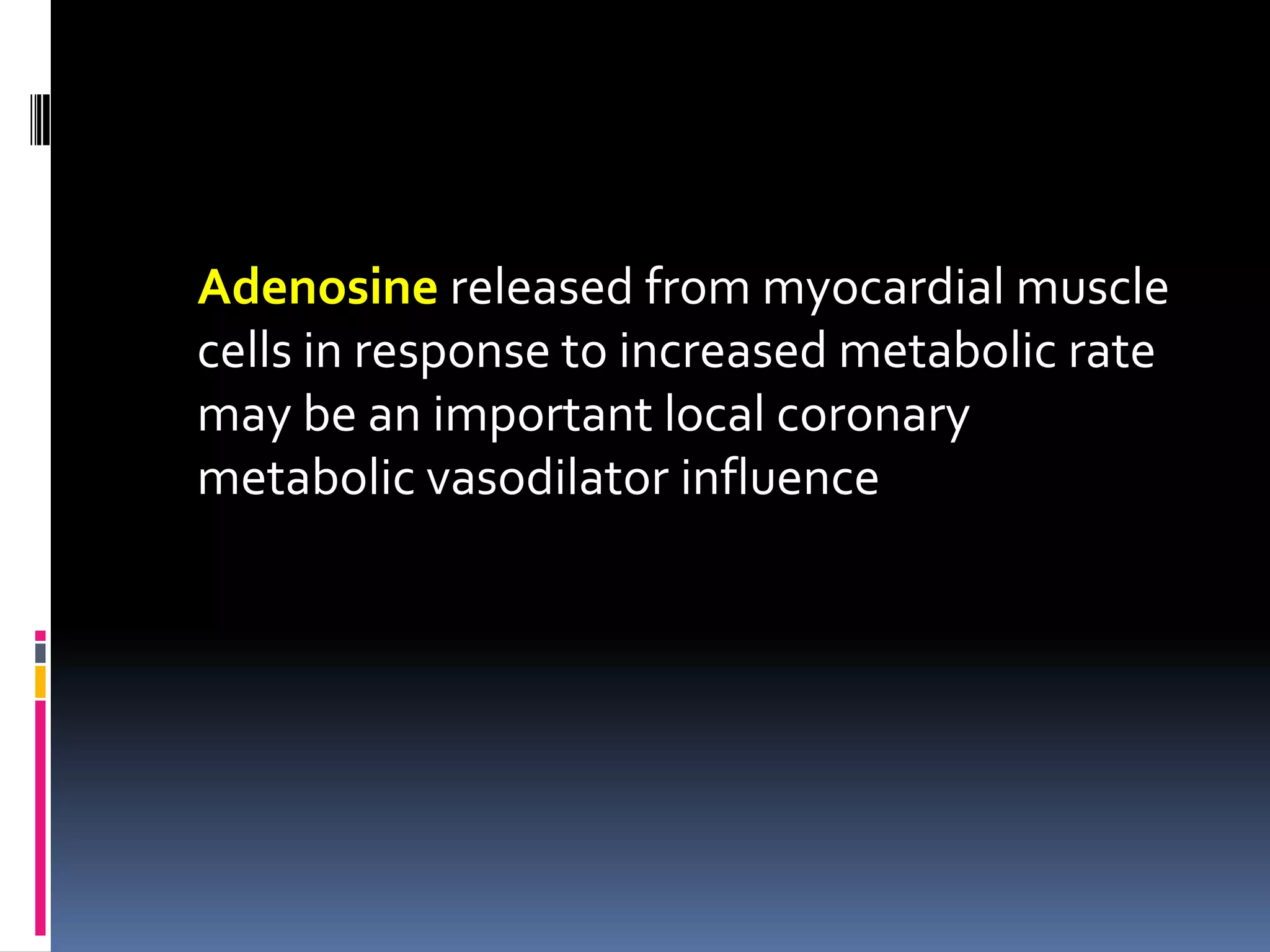 Adenosine released from myocardial muscle cells in response to increased metabolic rate may be an important local coronary metabolic vasodilator influence