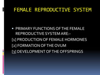 FEMALE REPRODUCTIVE SYSTEM PRIMARY FUNCTIONS OF THE FEMALE REPRODUCTIVE SYSTEM ARE:- [1] PRODUCTION OF FEMALE HORMONES [2] FORMATION OF THE OVUM [3] DEVELOPMENT OF THE OFFSPRINGS 