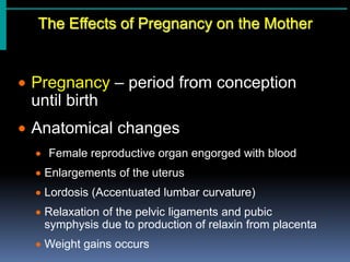 The Effects of Pregnancy on the Mother ,[object Object]