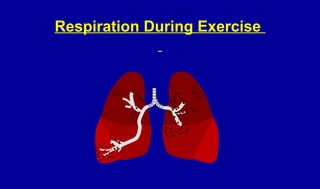 Respiration During Exercise
 