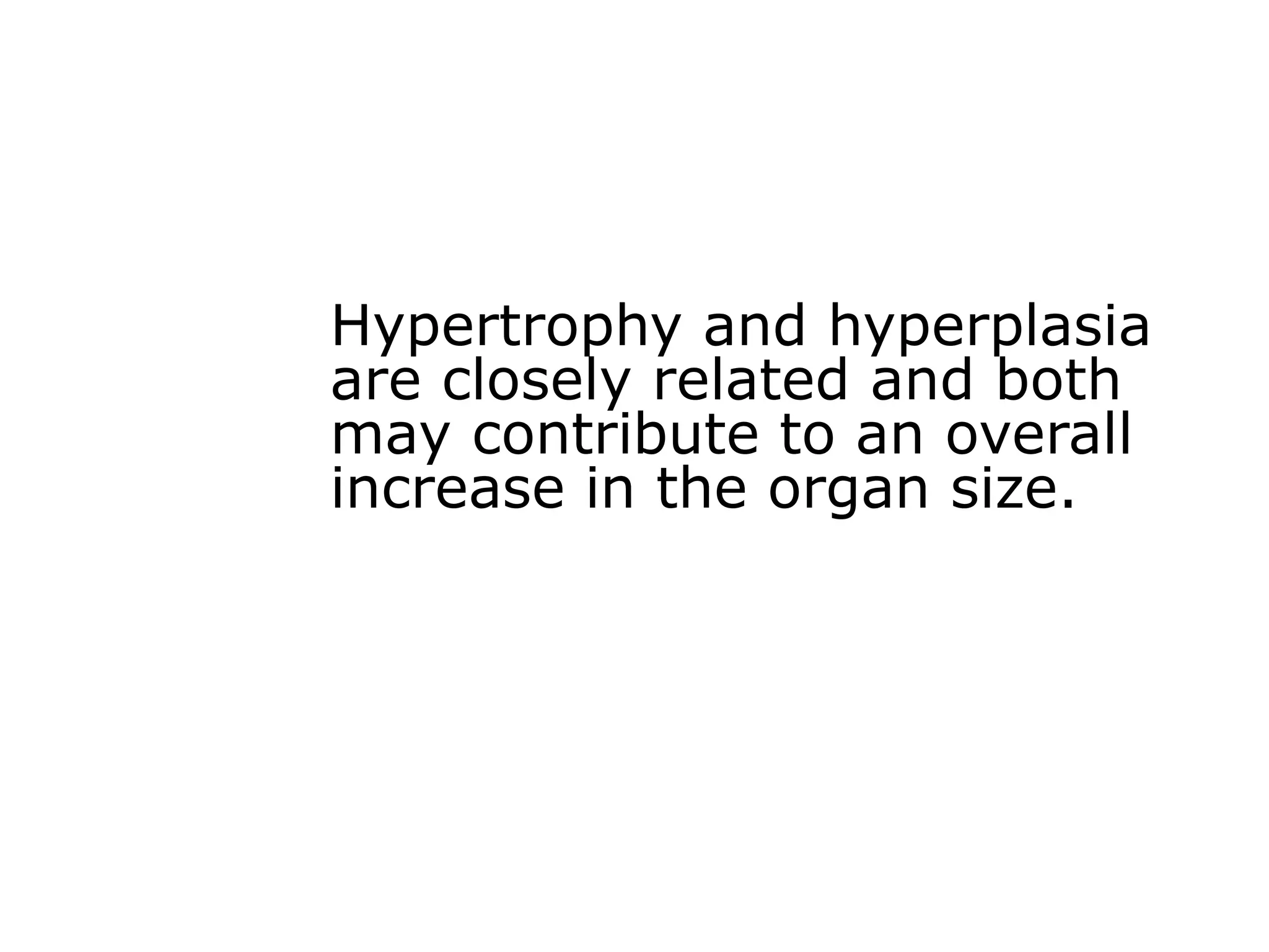 Hypertrophy and hyperplasia
are closely related and both
may contribute to an overall
increase in the organ size.
 