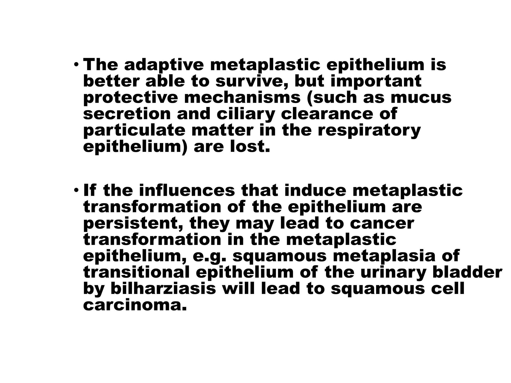 • The adaptive metaplastic epithelium is
better able to survive, but important
protective mechanisms (such as mucus
secretion and ciliary clearance of
particulate matter in the respiratory
epithelium) are lost.
• If the influences that induce metaplastic
transformation of the epithelium are
persistent, they may lead to cancer
transformation in the metaplastic
epithelium, e.g. squamous metaplasia of
transitional epithelium of the urinary bladder
by bilharziasis will lead to squamous cell
carcinoma.
 