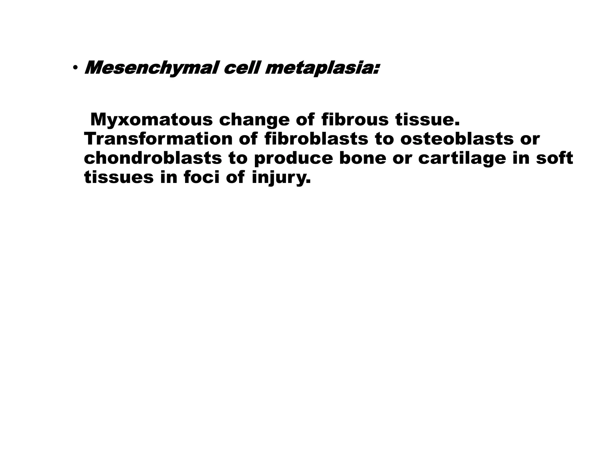• Mesenchymal cell metaplasia:
Myxomatous change of fibrous tissue.
Transformation of fibroblasts to osteoblasts or
chondroblasts to produce bone or cartilage in soft
tissues in foci of injury.
 