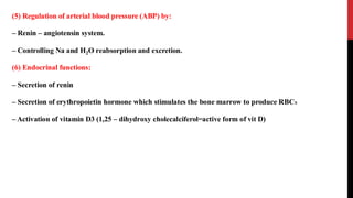 Lec 6 Physiology3.pdfjxjxjjxxjdjdjsjssjjsjj | PDF
