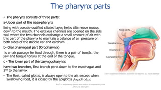 The pharynx parts
• The pharynx consists of three parts:
a-Upper part of the naso-pharynx
lining with pseudo-sratified ciliated layer, helps cilia move mucus
down to the mouth. The estaxius channels are opened on the side
wall where the two channels exchange a small amount of air with
this part of the pharynx to maintain a balance of air pressure on
both sides of the middle ear and eardrum.
b- Oral pharyngeal part (Oropharynix)
is an air passage for food through, there is a pair of tonsils: the
jaw and tongue tonsils at the end of the tongue.
c - The lower part of the Laryngopharynix:
have two branches, first branch parts down to the esophagus and
2nd to the larynx
• The float, called glottis, is always open to the air, except when
swallowing food, it is closed by the epiglottis ‫المزمار‬ ‫لسان‬
Bio 314 Respiratory system and control of respiration  Prof
Alhimaidi Ahmad R
 
