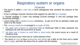 3-Larynx
• The larynx is called a voice box, a short passageway that connects the pharynx to the
trachea.
• It has a cartilage muscular structure that supports its wall with four cartilage:
1- Thyroid cartilage 2- Lower ring cartilage (Cricoid cartilage) 3- and two cartilage back
(Arytenoid cartilage).
• Larynx lining with a ciliated mucous membrane, to get rid of the air plankton inside and
move it to the mouth
• The mucous membrane is arranged in a couple of folds.
1. the upper part is known as abdominal folds or Ventricular folds or false vocalcord, has
nothing to do with the occurrence of sound.
2. the lower pair is known as vocal folds or vocal cords, the sound occurs as a result of
vibrating cords.
• The real sound occur when the air rushes between them.
• The larynx in men is more pronounced and stands out a little on the front and is called
adam's apple, and from the larynx the air rushes into the trachea.
Bio 314 Respiratory system and control of
respiration  Prof Alhimaidi Ahmad R
Respiratory system or organs
 