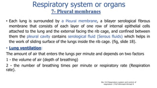7- Pleural membranes
• Each lung is surrounded by a Pleural membrane, a bilayer serological fibrous
membrane that consists of each layer of one row of internal epithelial cells
attached to the lung and the external facing the rib cage, and confined between
them the pleural cavity contains serological fluid (Serous fluids) which helps in
the work of sliding surface of the lungs inside the rib cage. (fig, slide 18).
• Lung ventilation:
The amount of air that enters the lungs per minute and depends on two factors
1 - the volume of air (depth of breathing)
2 - the number of breathing times per minute or respiratory rate (Respiration
rate).
Bio 314 Respiratory system and control of
respiration  Prof Alhimaidi Ahmad R
Respiratory system or organs
 
