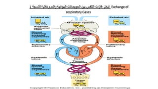 ‫التنفس‬ ‫غازات‬ ‫تبادل‬‫األنسجة‬ ‫وخاليا‬ ‫والدم‬ ‫الهوائية‬ ‫الحويصالت‬ ‫بين‬: Exchange of
respiratory Gases
Bio 314 Respiratory system and control of respiration  Prof
Alhimaidi Ahmad R
 