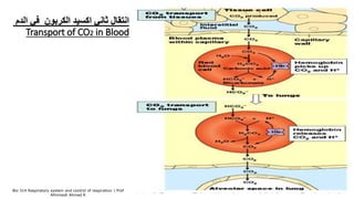 ‫الدم‬ ‫في‬ ‫الكربون‬ ‫اكسيد‬ ‫ثاني‬ ‫انتقال‬
Transport of CO2 in Blood
Bio 314 Respiratory system and control of respiration  Prof
Alhimaidi Ahmad R
 