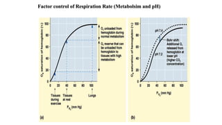 Factor control of Respiration Rate (Metabolsim and pH)
Bio 314 Respiratory system and control of
respiration  Prof Alhimaidi Ahmad R
 