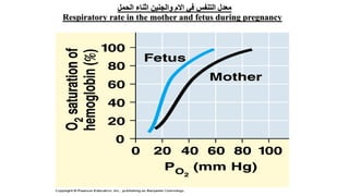 ‫الحمل‬ ‫اثناء‬ ‫والجنين‬ ‫االم‬ ‫في‬ ‫التنفس‬ ‫معدل‬
Respiratory rate in the mother and fetus during pregnancy
Bio 314 Respiratory system and control of respiration  Prof
Alhimaidi Ahmad R
 