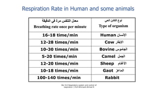 ‫الحي‬ ‫الكائن‬ ‫نوع‬
Type of organism
‫الدقيقة‬ ‫في‬ ‫مرة‬ ‫التنفس‬ ‫معدل‬
Breathing rate once per minute
‫اإلنسان‬Human16-18 time/min
‫االبقار‬Cow12-28 times/min
‫الجاموس‬Bovine10-30 times/min
‫الجمل‬Camel5-20 times/min
‫األغنام‬Sheep12-20 times/min
‫الماعز‬Gaot10-18 times/min
Rabbit100-140 times/min
Bio 314 Respiratory system and control of
respiration  Prof Alhimaidi Ahmad R
Respiration Rate in Human and some animals
 