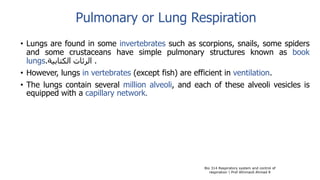 Pulmonary or Lung Respiration
• Lungs are found in some invertebrates such as scorpions, snails, some spiders
and some crustaceans have simple pulmonary structures known as book
lungs. ‫الرئات‬‫الكتابية‬ .
• However, lungs in vertebrates (except fish) are efficient in ventilation.
• The lungs contain several million alveoli, and each of these alveoli vesicles is
equipped with a capillary network.
Bio 314 Respiratory system and control of
respiration  Prof Alhimaidi Ahmad R
 