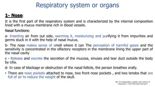 Respiratory system or organs
1- Nose:
It is the first part of the respiratory system and is characterized by the internal composition
lined with a mucus membrane rich in blood vessels.
Nasal functions:
a- Inserting air from out side, warming it, moisturizing and purifying it from impurities and
germs stuck in it with the help of nasal mucus.
b- The nose makes sense of smell where it can The perception of harmful gases and the
sensitivity is concentrated in the olfactory receptors in the membrane lining the upper part of
the nasal cavity
c - Release and excrete the secretion of the mucosa, sinuses and tear duct outside the body
by cilia.
d- In case of blockage or obstruction of the nasal follicle, the person breathes orally.
• There are nose pockets attached to nose, two front nose pockets , and two tendos that are
full of air to reduce the weight of the skull.
Bio 314 Respiratory system and control of
respiration  Prof Alhimaidi Ahmad R
 