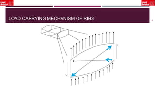 LOAD CARRYING MECHANISM OF RIBS
15
 