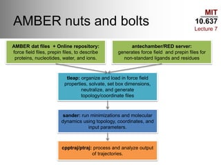 MIT
10.637
Lecture 7
AMBER nuts and bolts
AMBER dat files + Online repository:
force field files, prepin files, to describe
proteins, nucleotides, water, and ions.
antechamber/RED server:
generates force field and prepin files for
non-standard ligands and residues
tleap: organize and load in force field
properties, solvate, set box dimensions,
neutralize, and generate
topology/coordinate files
sander: run minimizations and molecular
dynamics using topology, coordinates, and
input parameters.
cpptraj/ptraj: process and analyze output
of trajectories.
 