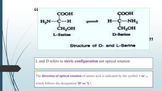 Lec 7 - Amino acids bio-chemistry - Copy.pptx