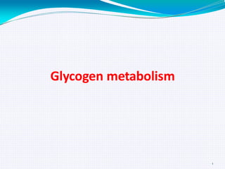 Glycogen metabolism

1

 