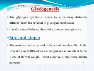 GLYCOGEN METABOLISM