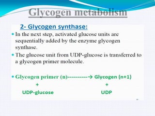 GLYCOGEN METABOLISM